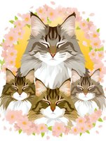 Adorable Maine Coon cats portraits surrounded by delicate pink cherry blossoms on yellow background. Stylized feline faces with fluffy fur and distinctive features.
