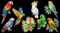 Colorful tropical parrots set isolated on transparent background, ready for stickers, t-shirt design, clipart, sublimation, and print on demand projects.