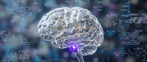 Transparent brain with circuit patterns and glowing purple neural connections on digital technology background for AI and neuroscience concepts.