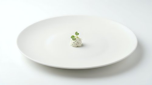 White ceramic plate with small green microgreens garnish on clean minimalist background for culinary presentation and fine dining concepts.
