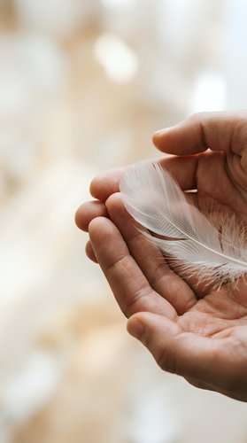 Gentle hands holding delicate white feather symbolizing peace, hope, spirituality and freedom with soft natural bokeh background for mindfulness concepts.