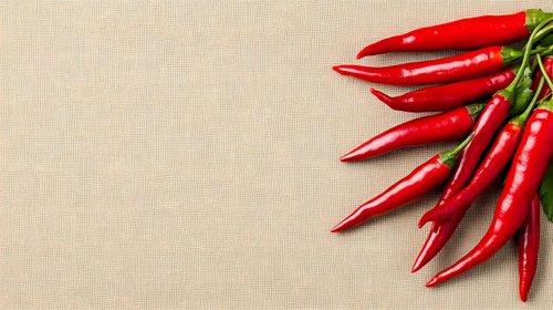Fresh red hot chili peppers arranged in fan shape on beige linen textile background with copy space for text, food photography composition.