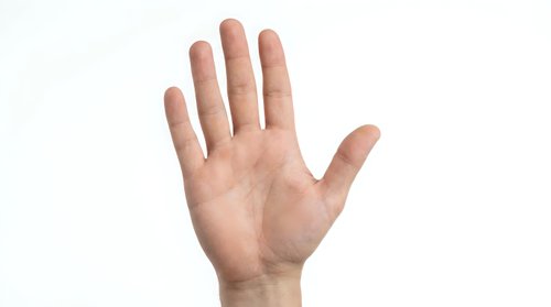 Open palm hand gesture showing five fingers against white background isolated for design and communication concepts.