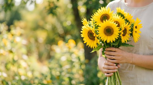 Woman in casual beige shirt holding vibrant sunflower bouquet outdoors in garden setting with blurred green foliage background for seasonal greeting cards and floral arrangements.