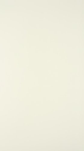 I can see this is a blank or nearly blank image with a light beige/cream colored background. There is no discernible content, subject matter, objects, people, or design elements visible in this image.