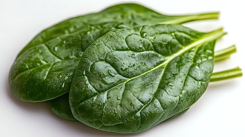 Fresh spinach leaves with water droplets on white background, showcasing vibrant green color and natural texture for food photography and healthy eating concepts.