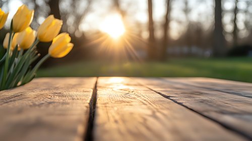 Yellow tulips on rustic wooden table at sunset, golden sunlight streaming through flowers creating warm atmosphere and long shadows on textured surface in garden setting.