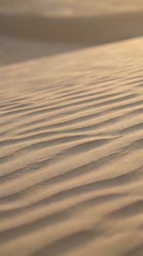 Golden sand dunes with natural wind-carved ripple patterns creating textured desert landscape in warm sunlight for travel and nature backgrounds.