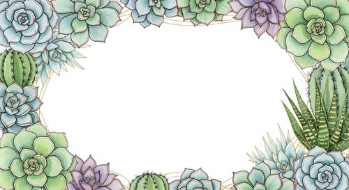 Watercolor succulent plants and cacti frame border on white background, isolated botanical illustration for greeting cards and invitations.