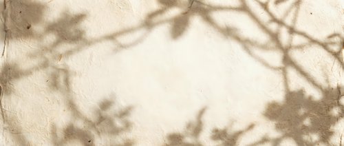 Vintage sepia toned background with delicate tree branch shadows creating natural organic frame border for romantic nostalgic design projects.