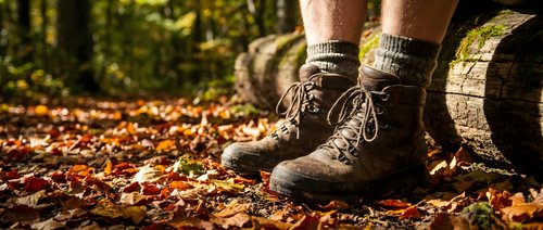 Hiker boots on autumn forest trail covered with colorful fallen leaves. Outdoor adventure and nature exploration concept for hiking gear advertisements.