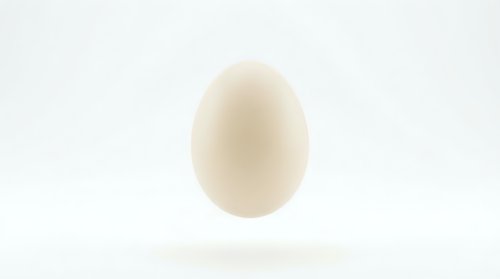 Single white chicken egg floating with soft shadow on clean white background for cooking and food design projects.