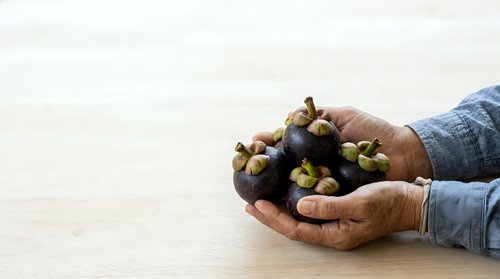 Farmer holding fresh organic grapes in cupped hands, showcasing harvest produce for agriculture, farming, and food industry marketing materials.