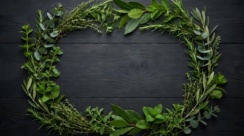 Fresh green herb wreath frame on dark wooden background with copy space for natural organic cooking and culinary design projects.