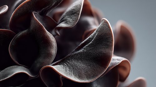 Rich chocolate curls with smooth texture and glossy finish, creating elegant decorative elements for gourmet desserts and confectionery presentations.
