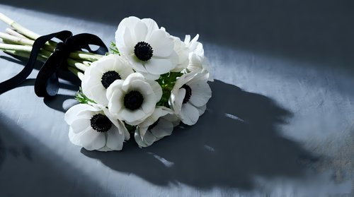 White anemone flowers with black centers tied with dark ribbon on gray surface creating elegant floral arrangement for weddings and special occasions.