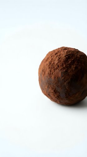Chocolate truffle dusted with cocoa powder on white background for confectionery and dessert designs.