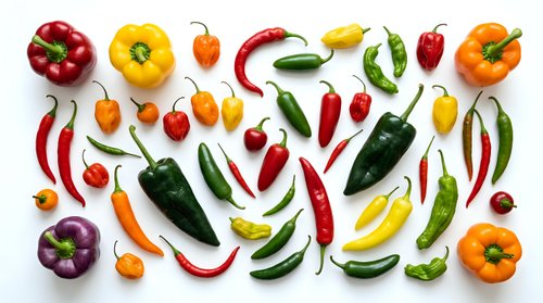 Colorful assortment of fresh peppers and chili varieties arranged on white background. Hot spicy vegetables for cooking and culinary projects.