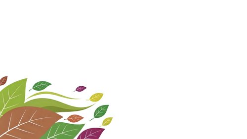 Colorful autumn leaves floating on white background with copy space for seasonal design projects and nature-themed graphics.