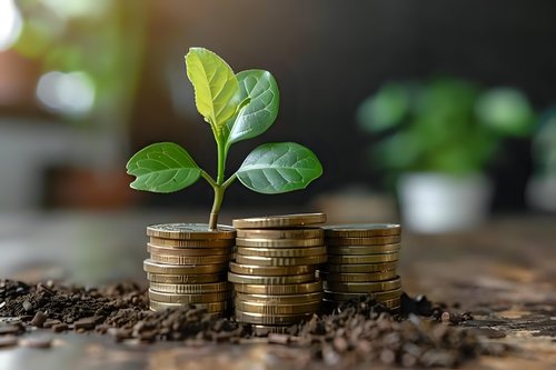 Green plant growing from golden coins stacked on soil, symbolizing financial growth, sustainable investment and wealth development in natural environment.