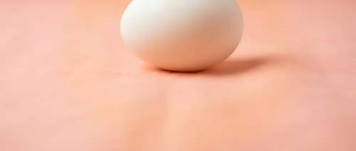 Single white chicken egg on soft pink background with gentle lighting and shadow for cooking and food photography concepts.