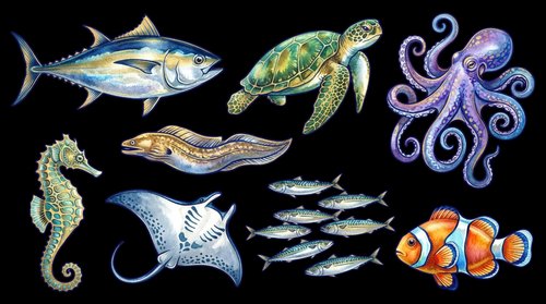 Colorful marine life collection featuring fish, sea turtle, octopus, seahorse, manta ray and more. Isolated on transparent background, ready for t-shirts, clipart, stickers, sublimation and print-on-demand designs.