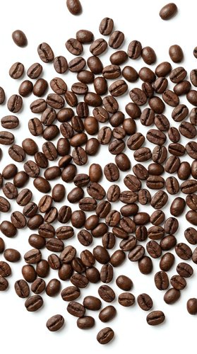 Roasted coffee beans scattered on white background, isolated for cafe menu design, beverage branding and culinary projects.