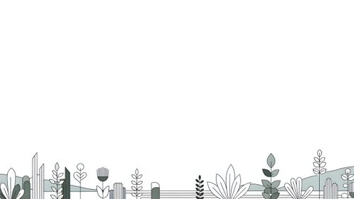 Minimalist botanical line art border with various plants, leaves and flowers on white background for modern design projects and branding materials.