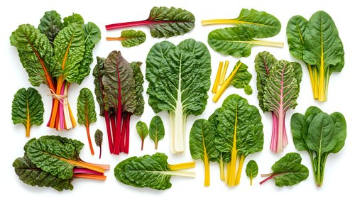 Fresh leafy greens collection featuring rainbow chard, spinach and kale varieties isolated on white background for healthy cooking and nutrition concepts.