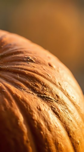 Fresh artisan sourdough bread loaf with golden crust and rustic texture on warm blurred background for bakery and food photography concepts.