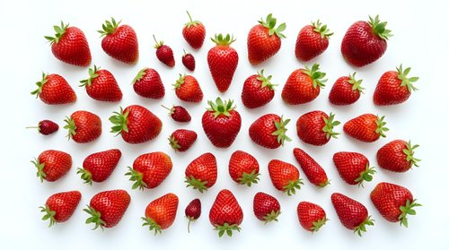 Fresh ripe strawberries arranged in rows on white background, isolated organic red berries with green leaves for healthy food design projects.