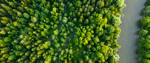 Aerial view of lush green forest canopy with winding river creating natural boundary between dense woodland areas for environmental and nature concepts.