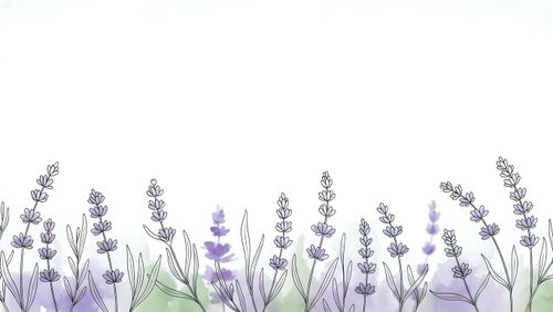 Watercolor lavender flowers border with purple blooms and green leaves on white background for wedding invitations and botanical designs.