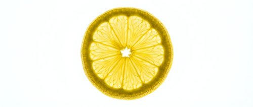 Fresh lemon slice cross section isolated on white background, showing vibrant yellow citrus texture, segments, and juicy pulp in macro detail.