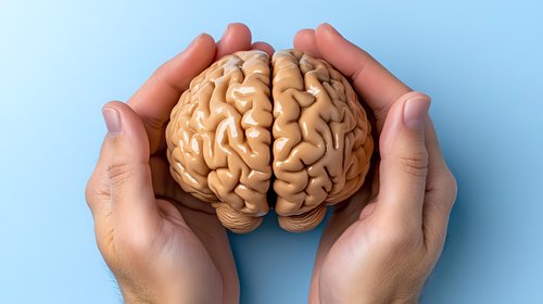 Human hands gently holding anatomical brain model against light blue background, demonstrating care and protection of mental health and neuroscience concepts.
