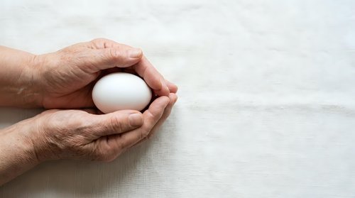 Mature adult male hands holding white egg on light wooden surface, symbolizing care, fragility, and protection for healthcare or wellness concepts.