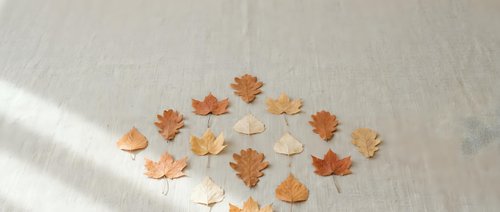 Autumn maple leaves scattered on neutral linen fabric with natural sunlight shadows creating seasonal flat lay composition for fall decorating projects.