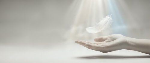 Open hands releasing white dove with ethereal light beams creating peaceful spiritual moment symbolizing freedom hope and divine connection.