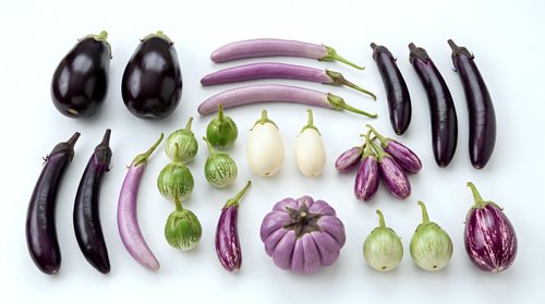 Assorted purple eggplant varieties arranged on white background including Japanese, Italian, Thai and baby eggplants for cooking and culinary use.
