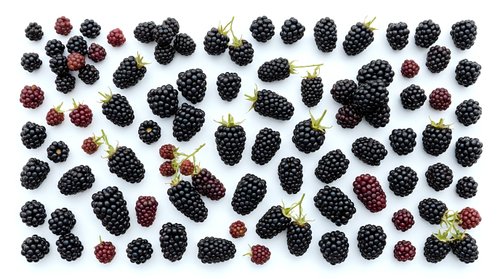 Fresh ripe blackberries scattered on white background, organic summer berries for healthy eating, cooking and food photography projects.