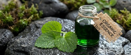 Small glass bottle with green organic essential oil and fresh mint leaves on natural stone surface with moss for aromatherapy and wellness applications.