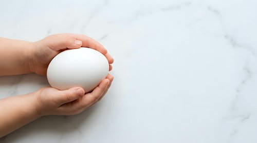 Hands holding white egg on marble surface, isolated on clean background for design and commercial use.