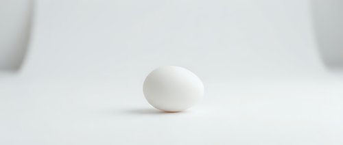 Single white egg on clean white background for minimalist kitchen and cooking concepts.