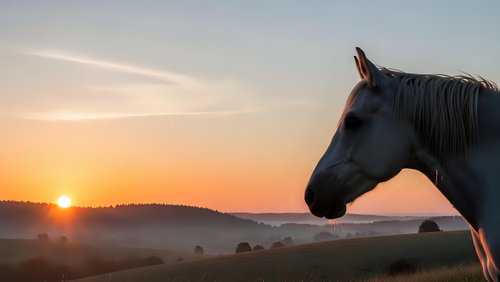 Majestic horse silhouette against golden sunrise over rolling countryside landscape with warm orange sky and peaceful rural meadows for equestrian themes.