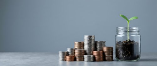 Growing money tree concept with green plant sprouting from coin-filled glass jar beside stacked coins representing financial growth and investment success.
