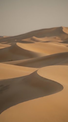 Golden sand dunes create dramatic shadows and curves in vast desert landscape during warm sunlight for travel and nature backgrounds.