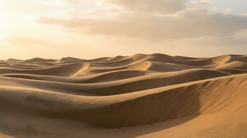 Golden sand dunes landscape with rolling hills under warm sunset light creating dramatic shadows and textures in arid desert environment.