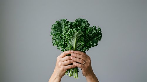 Hands holding fresh kale bunch against neutral background, representing healthy eating, organic produce, nutrition, and vegetarian lifestyle choices.