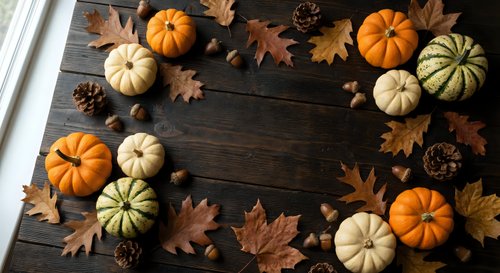 Autumn harvest display with colorful pumpkins, maple leaves and pine cones arranged on rustic wooden background for seasonal decoration and thanksgiving themes.