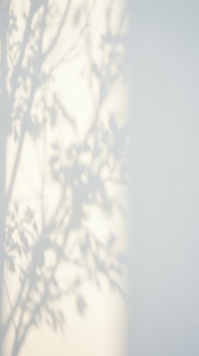 Soft natural plant shadow overlay on white wall creating organic botanical silhouette for modern interior design and minimalist aesthetic backgrounds.